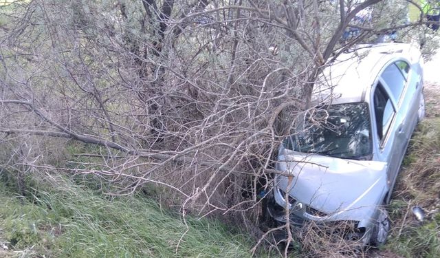 Otomobil, ağaca çarptı: 1 ölü, 1 yaralı