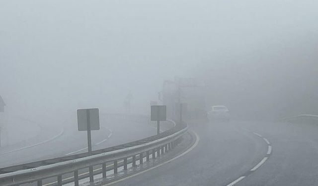 Düzce-Zonguldak yolunda yoğun sis