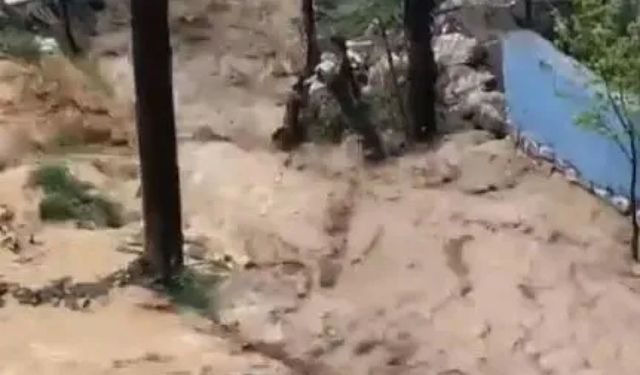 Aşırı yağış sele neden oldu