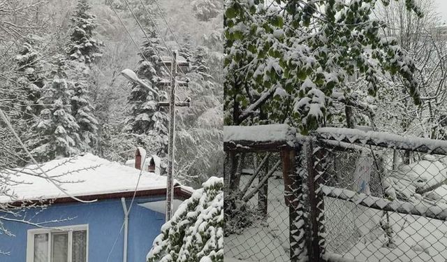 Beyaz örtü ile uyandılar: 10 santimetre kar yağdı!