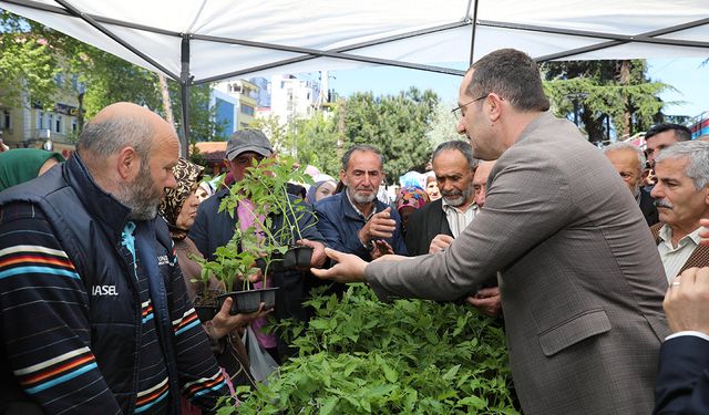 Belediye serasında yetişen 10 bin sebze fidanı üreticiye dağıtıldı