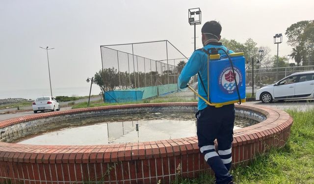 Belediye, vektörle mücadelede yaza hazır