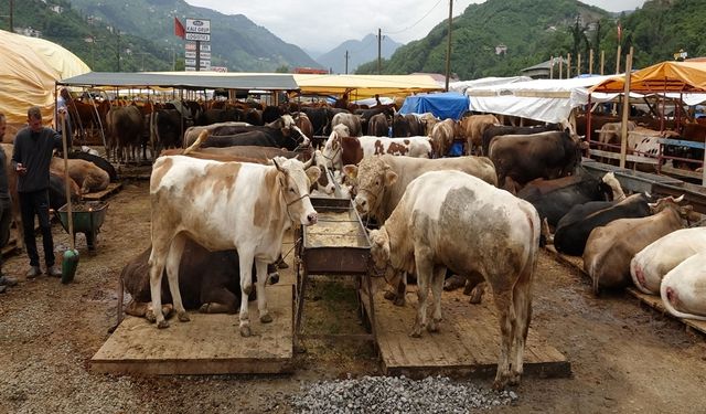 Kurbanlıkların yarısı alıcı buldu