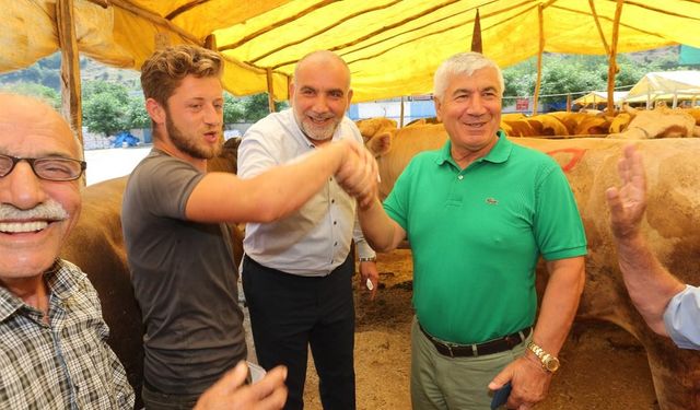 Kurbanlıklar görücüye çıktı