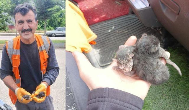 Araç motoruna sıkışan yavru kedileri itfaiye ekipleri kurtardı