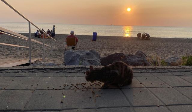 Tatil köyü İnkumu, bayramın ilk gününü sakin geçirdi