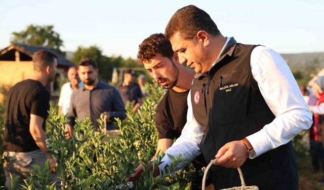 Süper meyvenin hasadını vali elleriyle yaptı