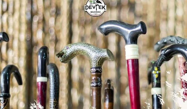 Devrek Bastonu ilk kez sanat galerisinde