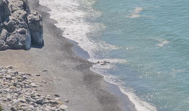 Denizdeki c*set ihbarı 'kaya' çıktı