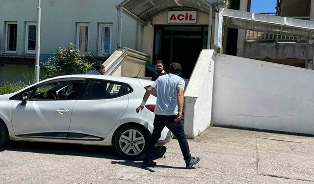 Kurban kesiminde yaralanan acemi kasaplar hastaneye koştu