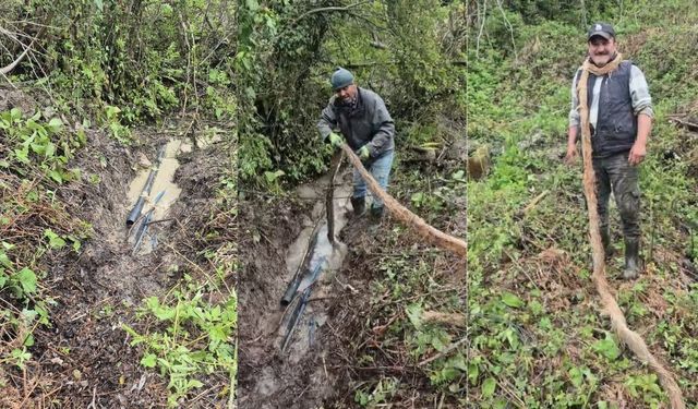 Depoyu açtılar, içinden 10 metre çim çıktı!