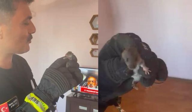 Zonguldak'ta “evde fare var” ihbarı itfaiyeyi harekete geçirdi