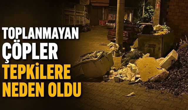 Toplanmayan çöpler tepkilere neden oldu