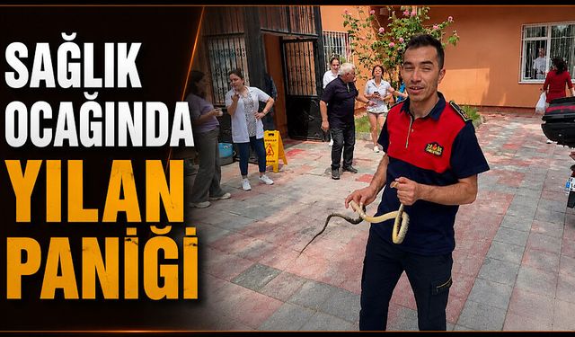 Sağlık ocağında yılan paniği