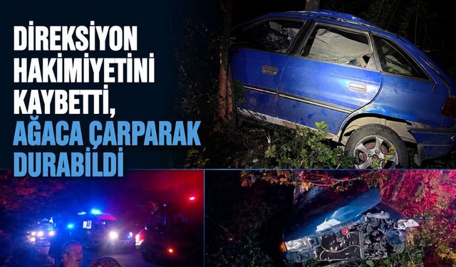 Direksiyon hakimiyetini kaybetti, ağaca çarparak durabildi