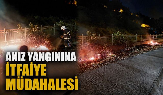 Anız yangınına itfaiye müdahalesi