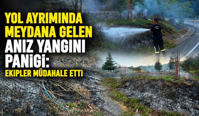 Yol ayrımında meydana gelen anız yangını paniği: Ekipler müdahale etti