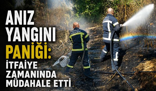 Anız yangını paniği: İtfaiye zamanında müdahale etti