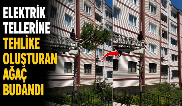 Elektrik tellerine tehlike oluşturan ağaç budandı