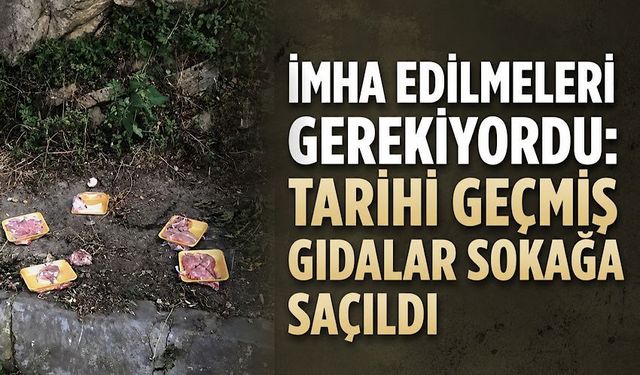 Oysa imha edilmeleri gerekiyordu: Tarihi geçmiş gıdalar sokağa saçıldı