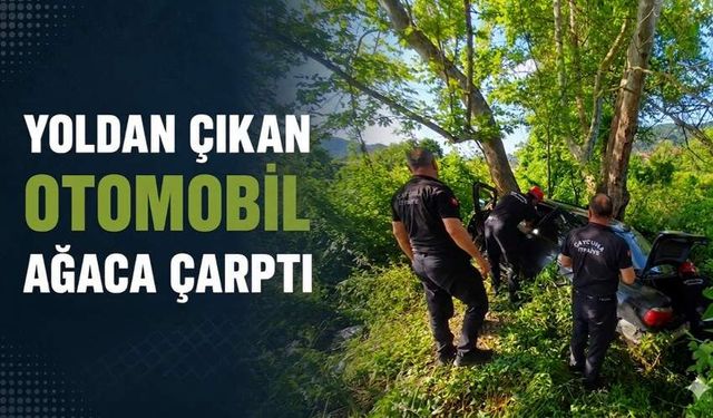 Yoldan çıkan otomobil ağaca çarptı