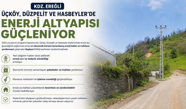 3 köyde enerji seferberliği: Hatlar ve trafolar yenileniyor