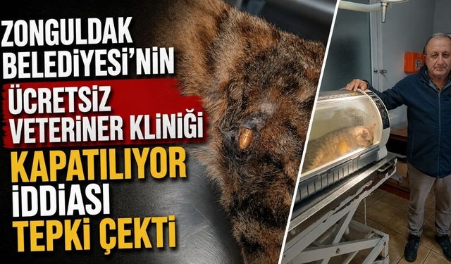 Zonguldak Belediyesi'nin ücretsiz veteriner kliniği kapatılıyor iddiası tepki çekti