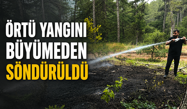 Örtü yangını büyümeden söndürüldü