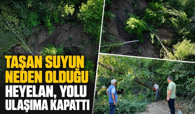 Taşan suyun neden olduğu heyelan, yolu ulaşıma kapattı