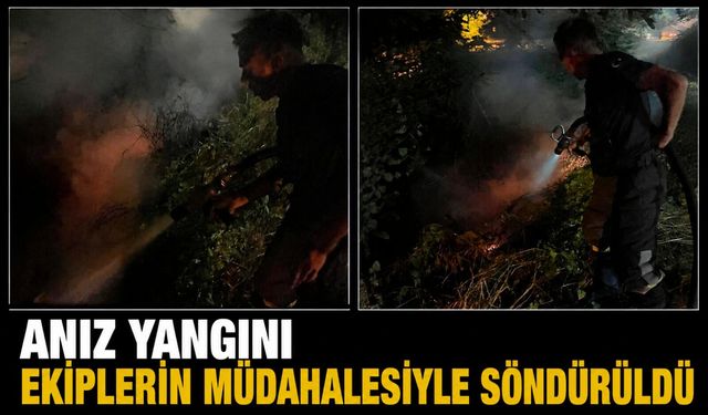 Anız yangını ekiplerin müdahalesiyle söndürüldü