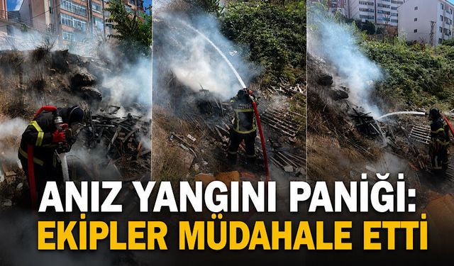 Anız yangını paniği: Ekipler müdahale etti