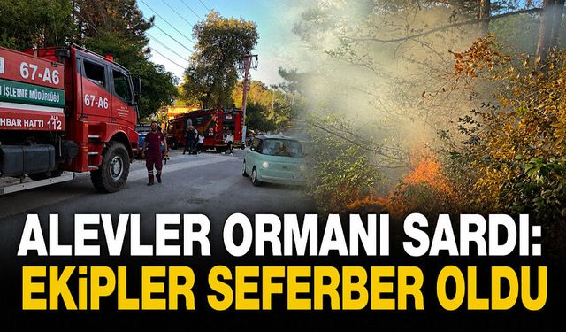 Alevler ormanı sardı: Ekipler seferber oldu