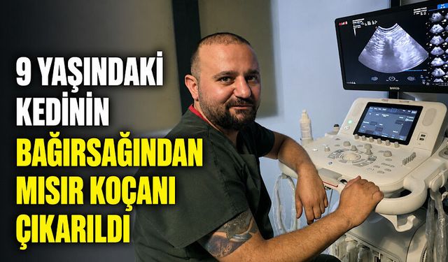 9 yaşındaki kedinin bağırsağından mısır koçanı çıkarıldı
