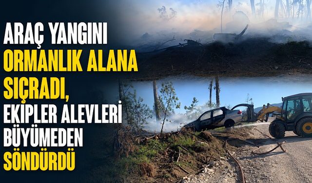 Araç yangını ormanlık alana sıçradı, ekipler alevleri büyümeden söndürdü