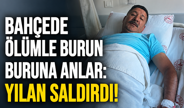 Bahçede ölümle burun buruna anlar: Yılan saldırdı!