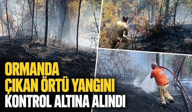 Ormanda çıkan örtü yangını kontrol altına alındı