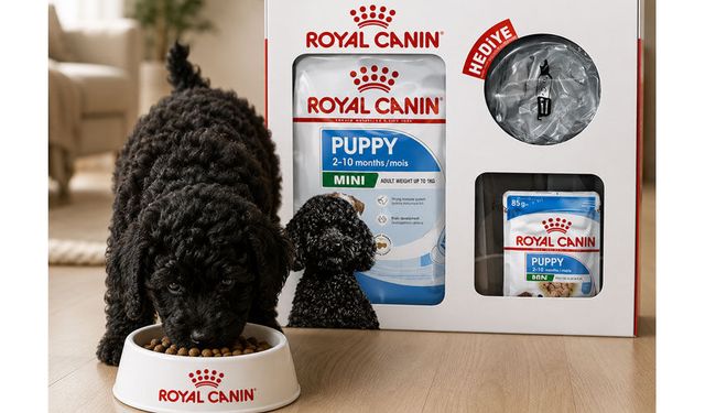 Yavru Köpeğiniz İçin Doğru Başlangıç: Royal Canin ve ND ile Sağlıklı Bir Gelecek