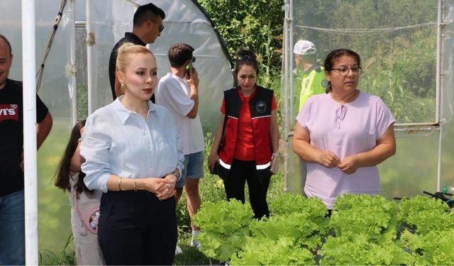 Kaymakam Ruveyda Kahraman Şıktaş'tan topraksız tarım serasına ziyaret