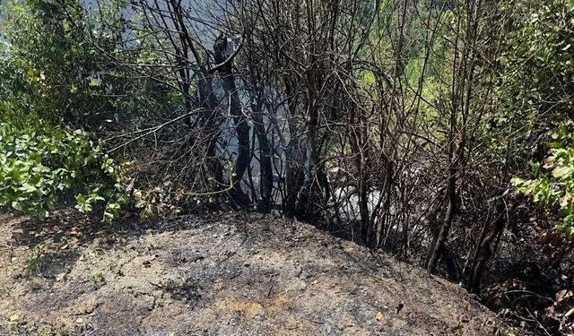 Köyde anız yangını paniği: Ekipler müdahale etti