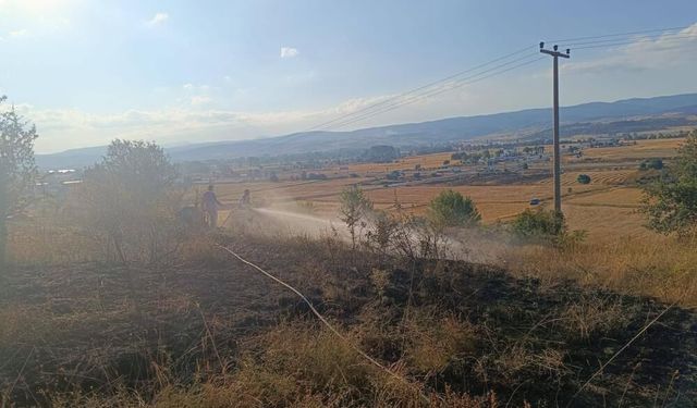 Anız yangını ağaçlık alana sıçramadan söndürüldü