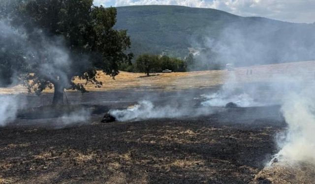Balya makinesinden çıkan kıvılcımlar yangına neden oldu