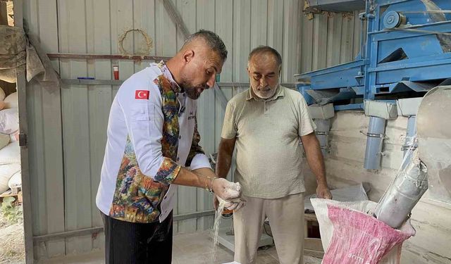 Coğrafi işaretli siyez buğdayına ilgi artıyor