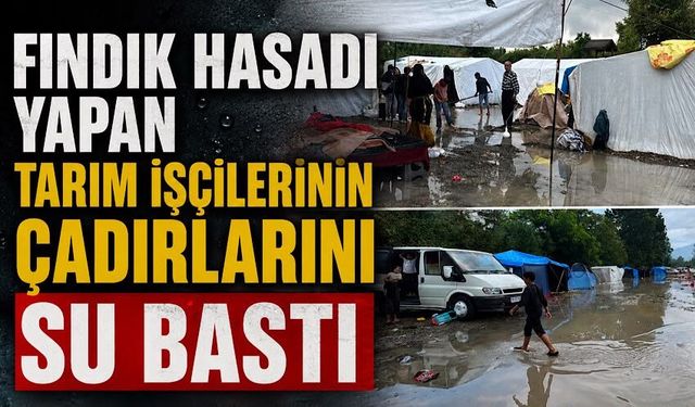Fındık hasadı yapan tarım işçilerinin çadırlarını su bastı