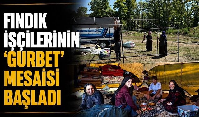 Fındık işçilerinin 'Gurbet' mesaisi başladı