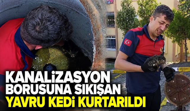Kanalizasyon borusuna sıkışan yavru kedi kurtarıldı