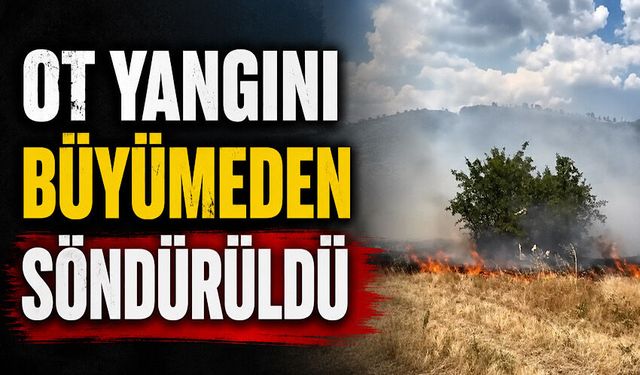 Ot yangını büyümeden söndürüldü