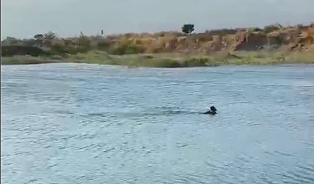 Serinlemek için girdiği göletten cansız bedeni çıktı