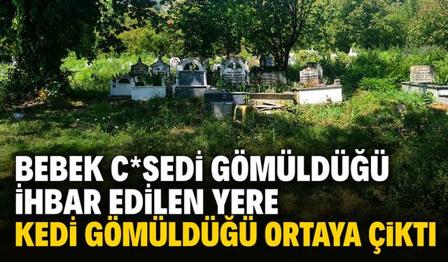 Bebek c*sedi gömüldüğü ihbar edilen yere kedi gömüldüğü ortaya çıktı