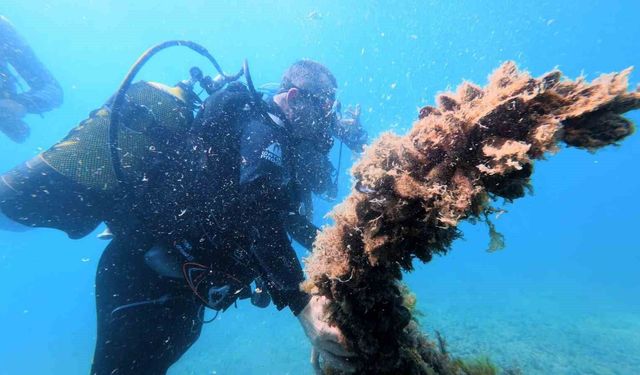 Karadeniz kıyılarındaki ilk su altı kazısında 2 bin 500 yıllık tarihe daldılar