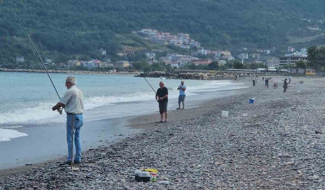 Karadeniz'de balık bolluğu yaşanıyor: Oltasını kapan deniz kenarına koştu